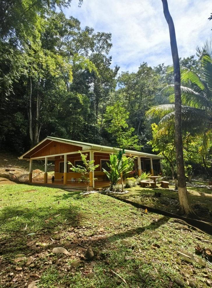 Pitzer in Costa Rica bamboo program house set in a lush forest